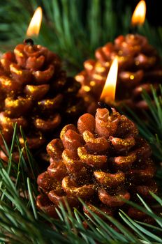 Three candles like pine cones burning in evergreen needles