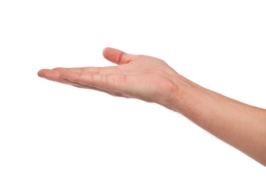 Open palm hand gesture of male hand. Isolated on a white background.