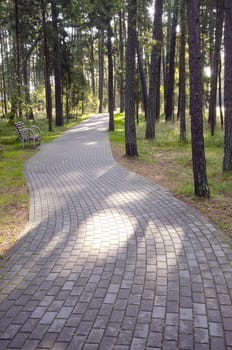 Tiled path curve in park forest fragment. Single bench in resort area. Natural background.