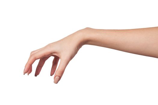 Well shaped Female hand reaching for something isolated on a white background