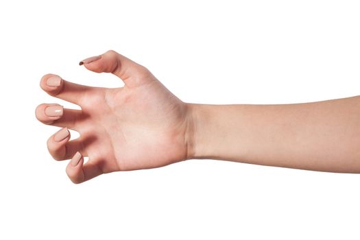 Well shaped Female hand reaching for something isolated on a white background