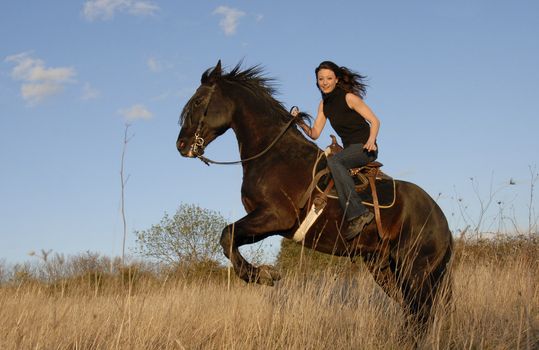 rearing black stallion and happy young woman in a field