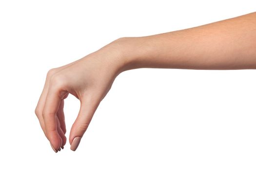 Well shaped Female hand reaching for something isolated on a white background