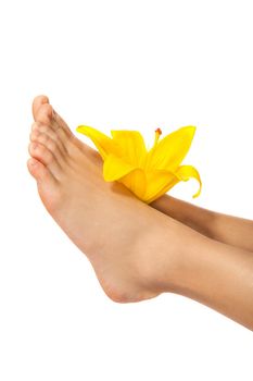 Woman's Feet and legs with flower isolated on white. Manicure and Pedicure concept. Nails. Spa.