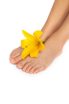 Woman's Feet and legs with flower isolated on white. Manicure and Pedicure concept. Nails. Spa.