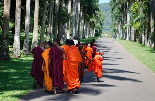 Kandy, Sri Lanka - December 8, 2011:  Buddhism children monks in orange clothes follow path in a botanic garden