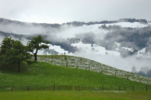 Two Seasons in One Day in June, Grindlewald, Switzerland. Landscape Orientation.