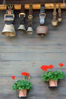 Cowbells and Geraniums hanging on  Wooden Wall in Kandersteg, Switzerland. Portrait Orientation.