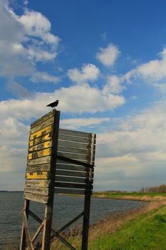 Lone Crow on an Old Sign by a Lake in Marken, The Netherlands. Portrait Orientation.