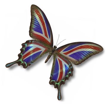 Great Britain flag on butterfly isolated on white