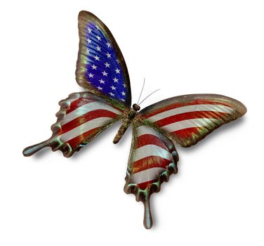 USA flag on butterfly isolated on white