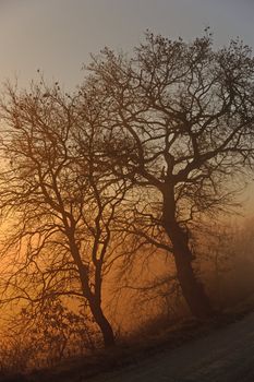 A colored sunrise in a misty morning