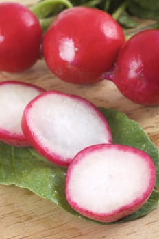 macro photo of radish 