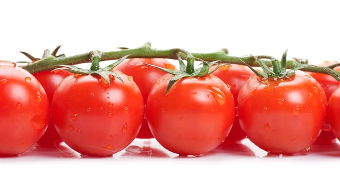 Fresh ripe cherry tomatoes on a branch over white background