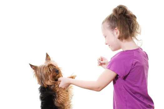 preteen girl playing with pet dog
