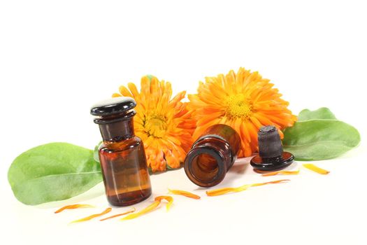 Marigold tincture with calendula flowers, leaves and petals on a light background