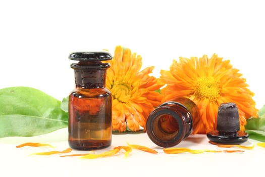 Marigold tincture with fresh calendula flowers, leaves and petals on a light background