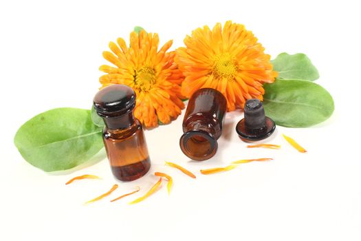 Marigold tincture with calendula flowers, leaves and fresh petals on a light background