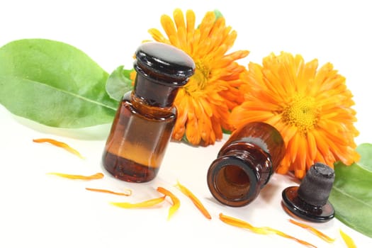 Marigold tincture with calendula flowers and leaves on a light background