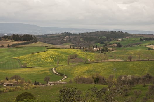 farmland and countryside in Chianti, Tuscany, Italy