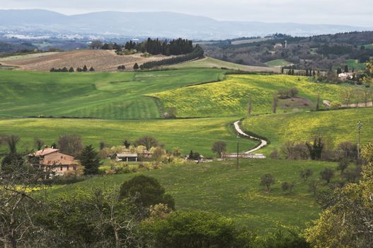 farmland and countryside in Chianti, Tuscany, Italy