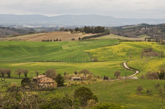 farmland and countryside in Chianti, Tuscany, Italy