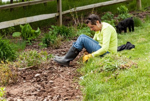 Woman gardener sits on grass when weeding flowerbed