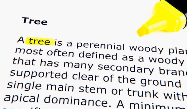 Text highlighted in yellow with felt tip pen