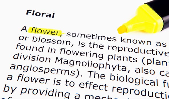 Text highlighted in yellow with felt tip pen