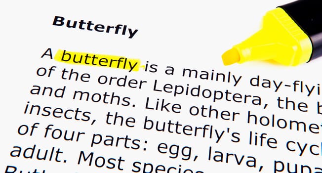 Text highlighted in yellow with felt tip pen