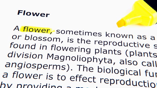 Text highlighted in yellow with felt tip pen