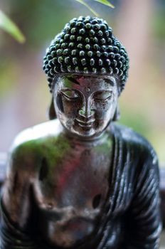 Silver Buddha figure with nature background - face with shallow dof