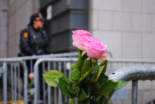 A rose outside of Oslo Courthouse during the trial against terrorist Anders Behring Breivik. A cop in the background.