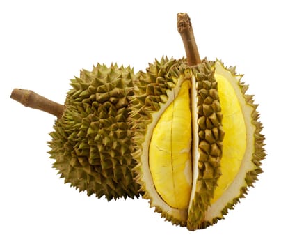 Durian isolated on white background