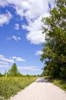 closeup of rural gravel road between meadow and forest under amazing cloudy sky.