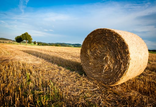 Hay Bale on a harvested Field on late Afternoon