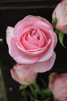 Close up of a single pink rose as part of a mixed floral arrangement