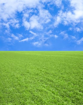 field of green grass and blue sky with clouds