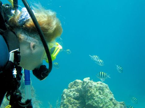 Underwater view of scuba diver swimming over coral reef off Florida Keys, America