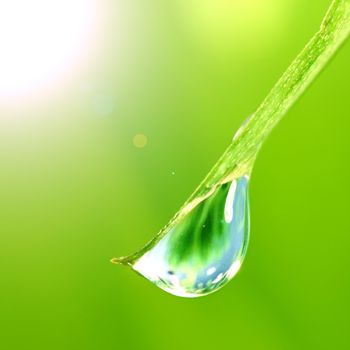 water drop shine in sun light