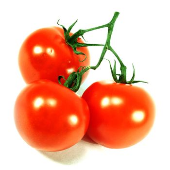 tomato isolated on white background