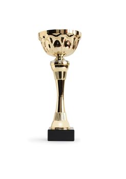 Gold trophy isolated on white background. Clipping path is included