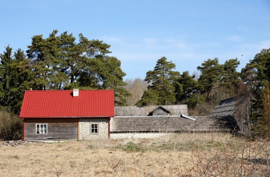 The house in a countryside on a background of trees and the blue sky