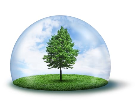 Green tree and grass in glass cupola, isolated on white background