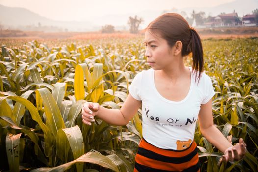 asian woman in field in morning time with sunlight