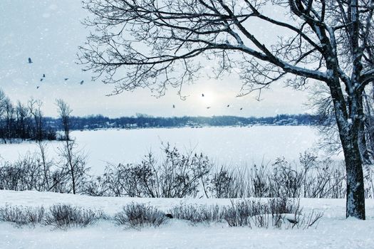 Winter landscape overlooking a lake 