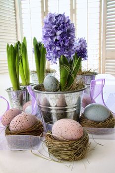 Purple hyacinths and easter eggs on table with sun-filled windows 