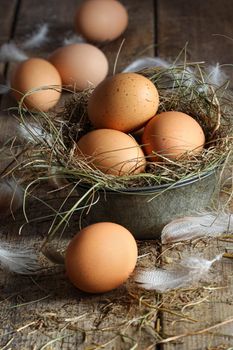 Fresh brown eggs in old tin container on wood background