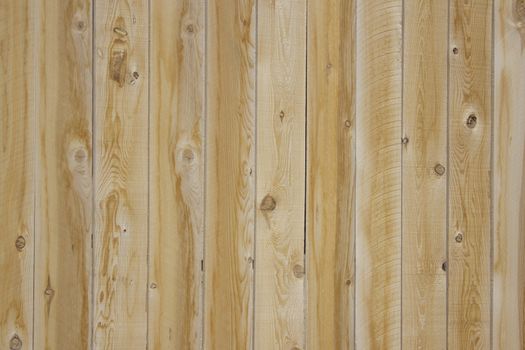 pine wood blank background