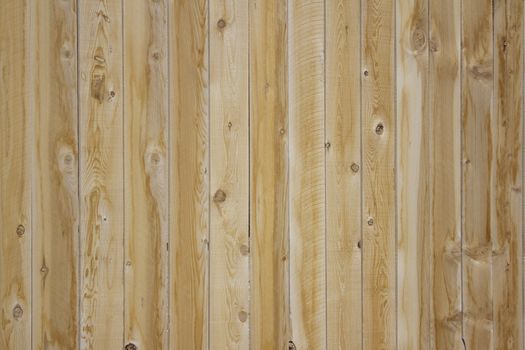 pine wood blank background